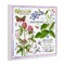 Stupell Industries Wild Herbs Diagram Wall Plaque Art Design by Jane Maday
